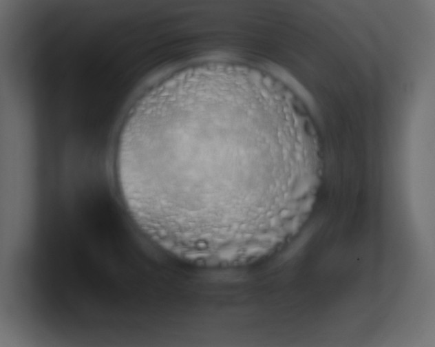 X0000100771429200807031201