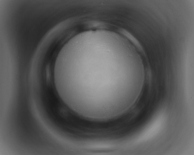 X0000100771439200807031201