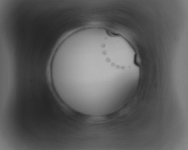 X0000100771440200807031201