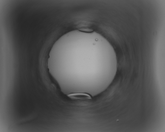 X0000100771441200807031200