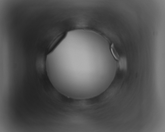 X0000100771444200807031200
