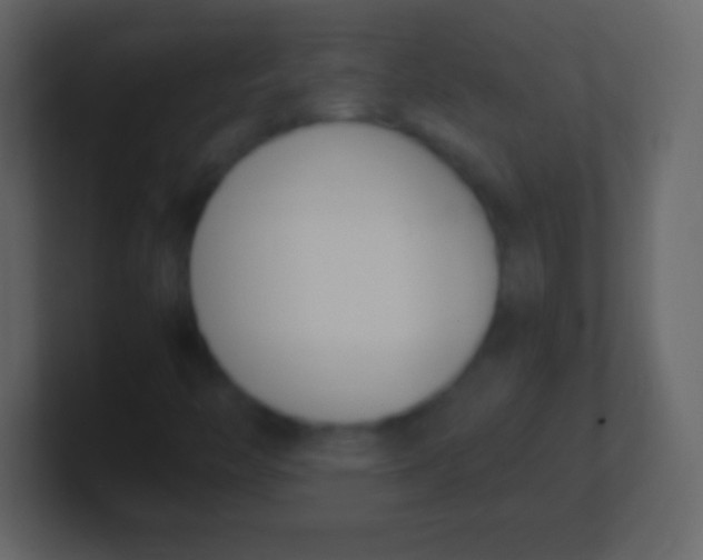 X0000100771446200807031200