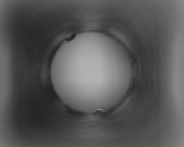 X0000100771453200807031200