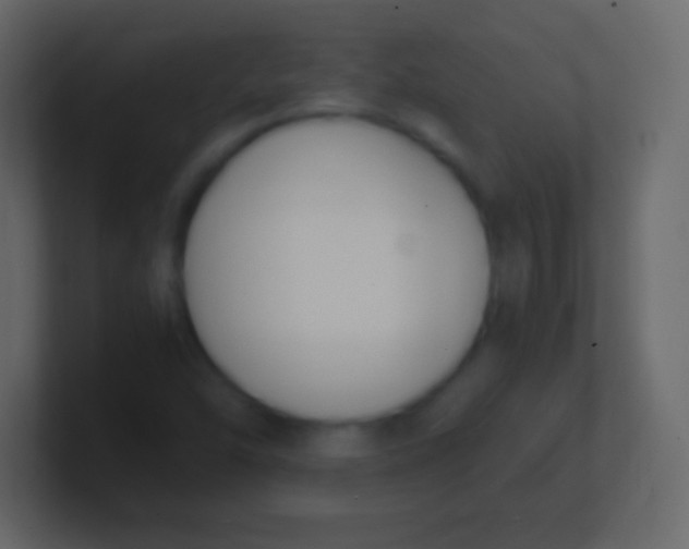 X0000100771454200807031200