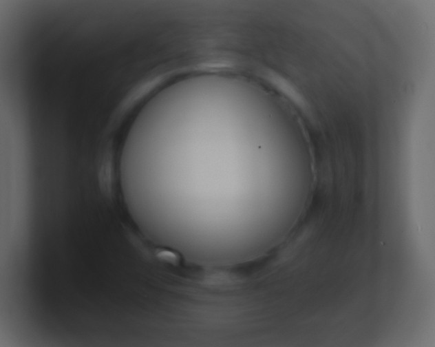 X0000100771456200807031200