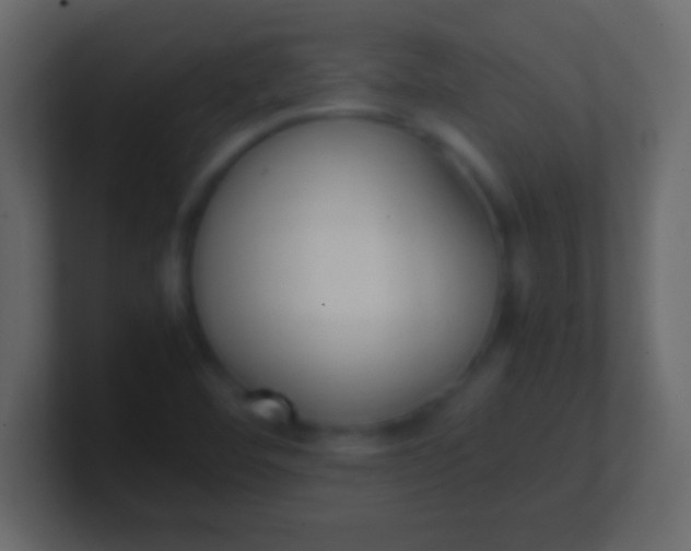 X0000100771460200807031200