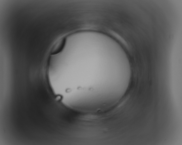 X0000100771463200807031200