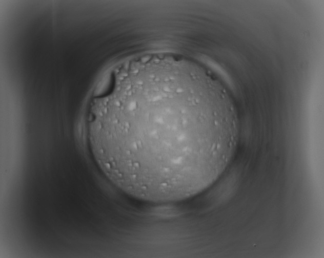 X0000100771467200807031200