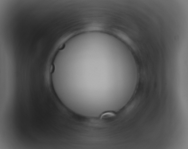 X0000100771469200807031200