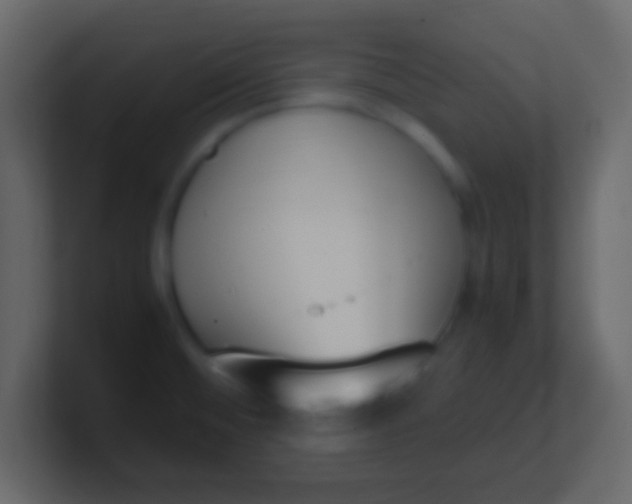X0000100771476200807031200