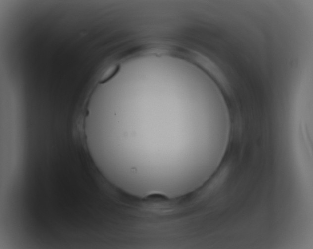 X0000100771481200807031200