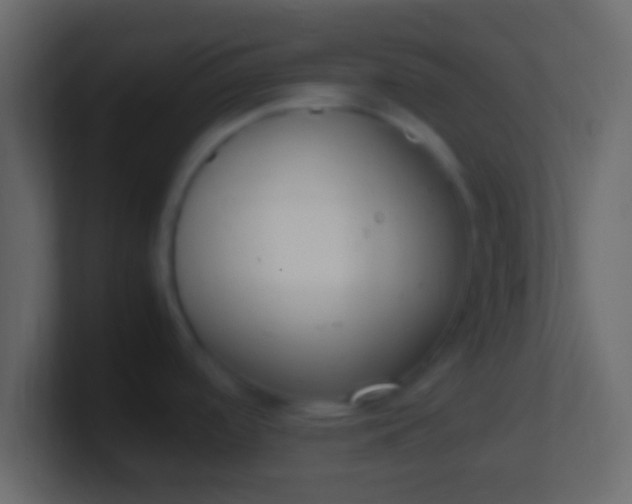 X0000100771488200807031200