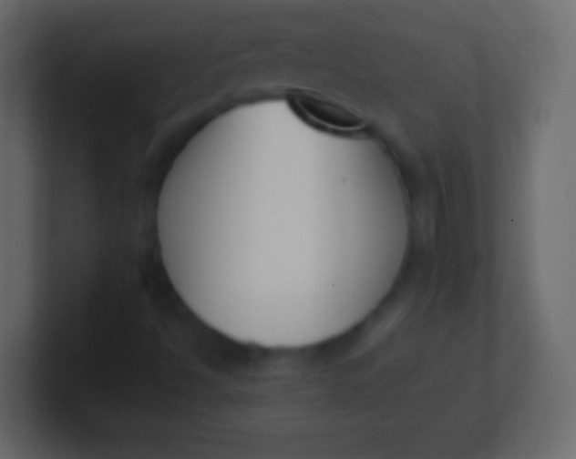 X0000100771494200807031159