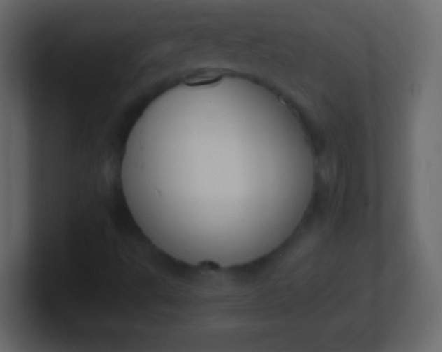 X0000100771495200807031159