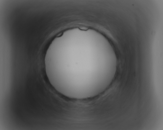 X0000100771496200807031159