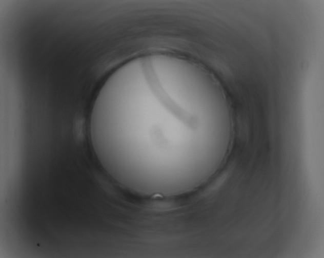 X0000100771497200807031159