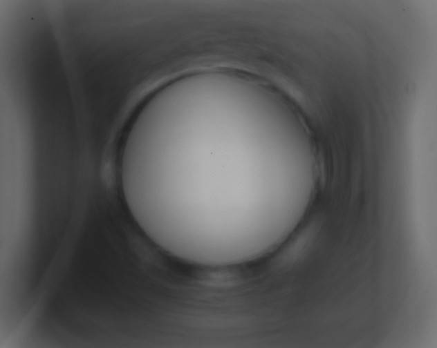 X0000100771501200807031159