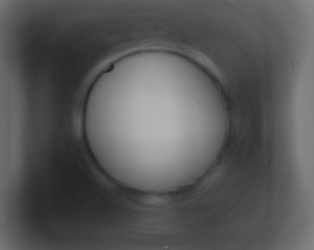 X0000100771504200807031159