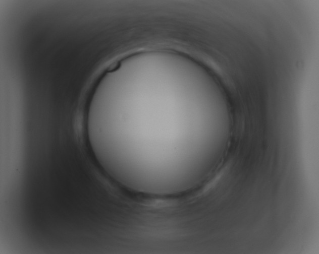 X0000100771506200807031159