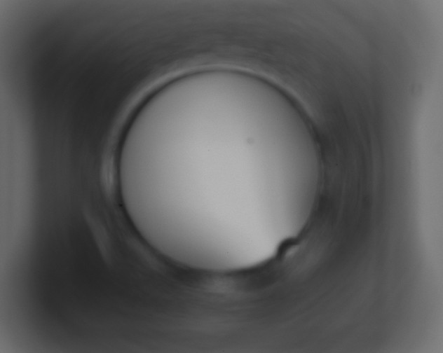 X0000100771511200807031159