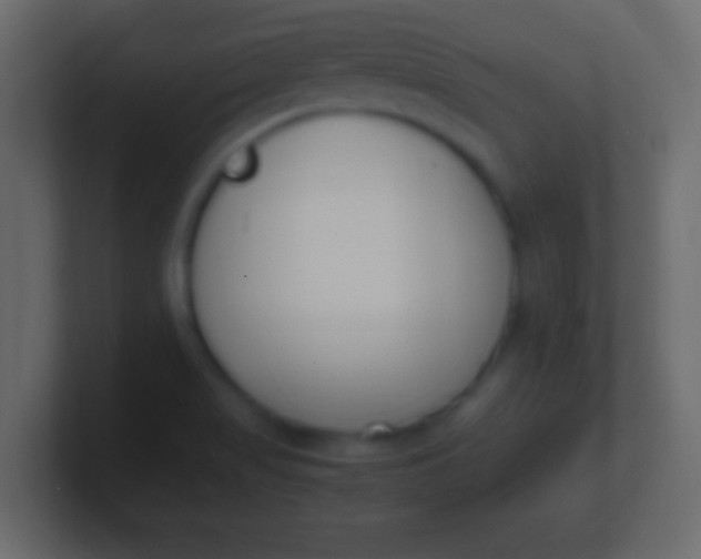 X0000100771517200807031200