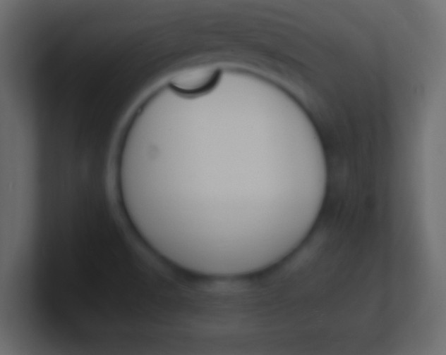 X0000100771518200807031200