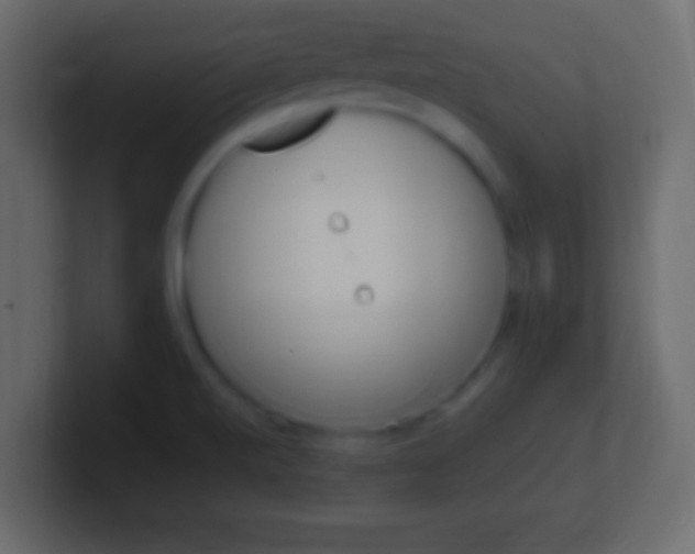 X0000100771520200807031200