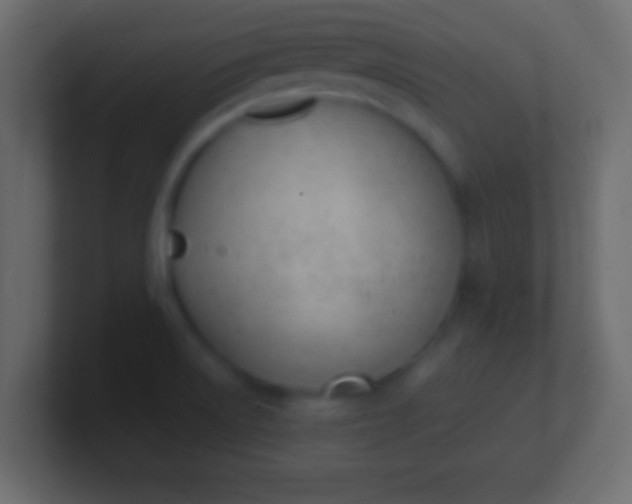 X0000100771522200807031200