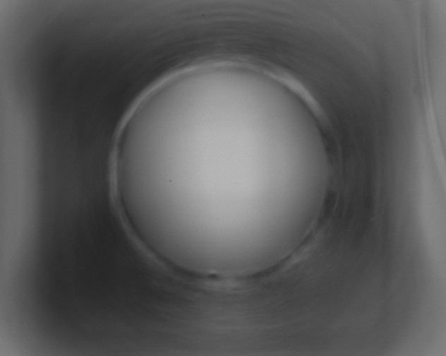 X0000100771524200807031200