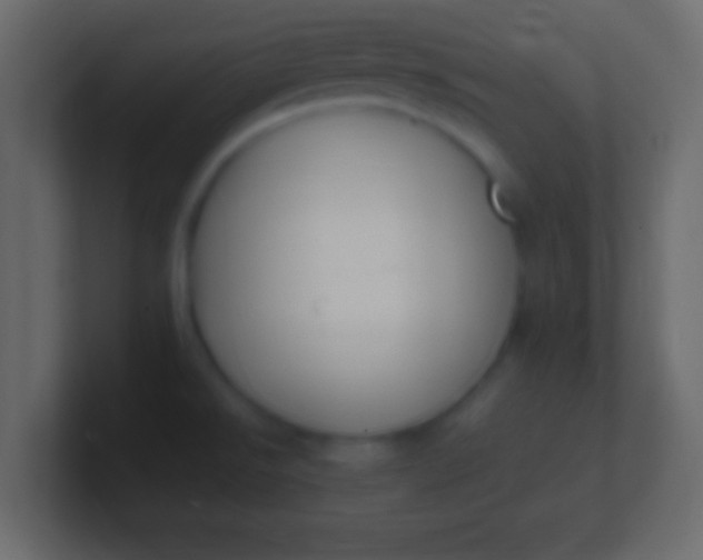 X0000100771526200807031200
