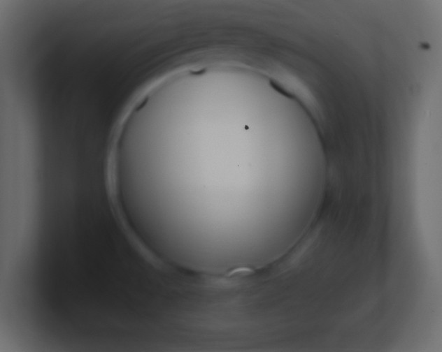 X0000100771528200807031200