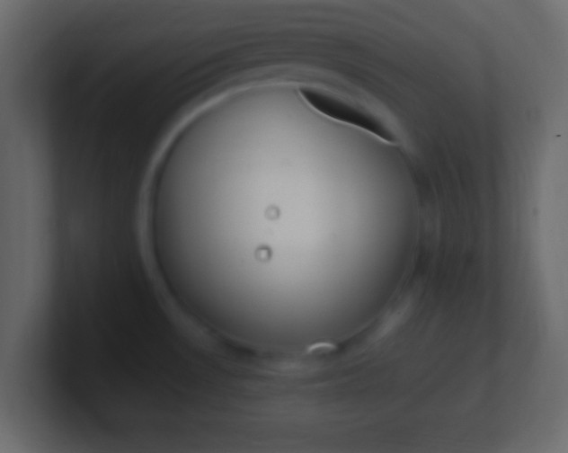 X0000100771530200807031200