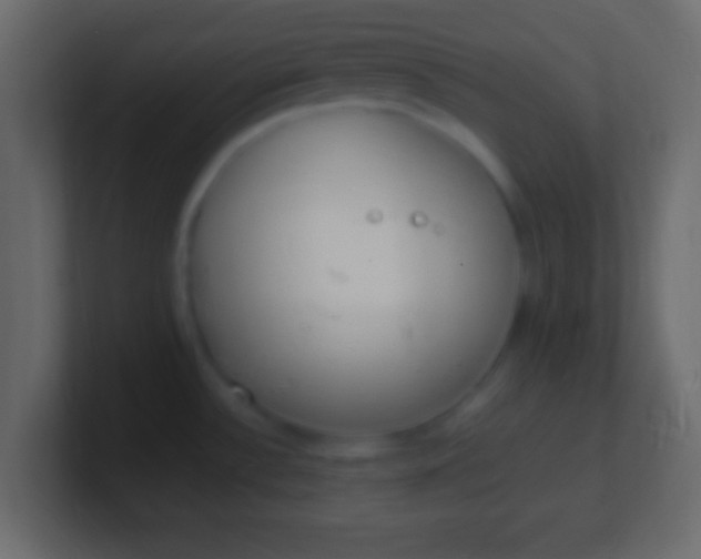 X0000100771532200807031200