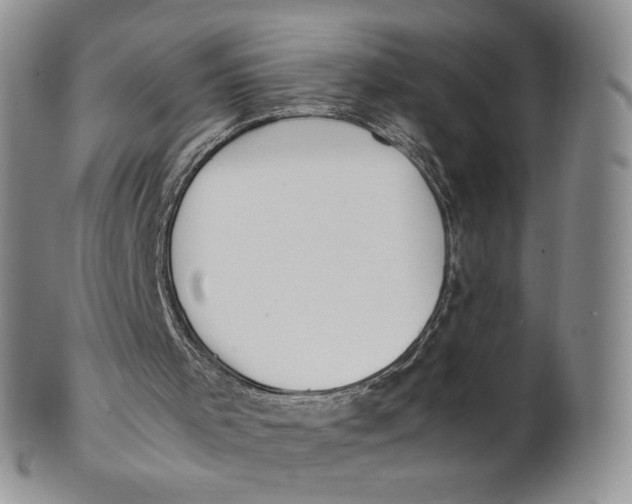X0000100770001200807101803