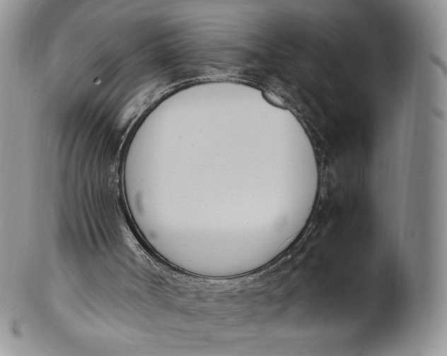 X0000100770002200807101803
