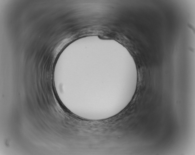 X0000100770003200807101803