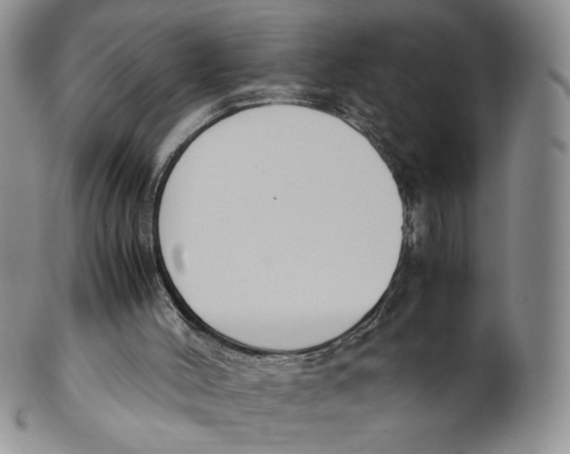 X0000100770004200807101803