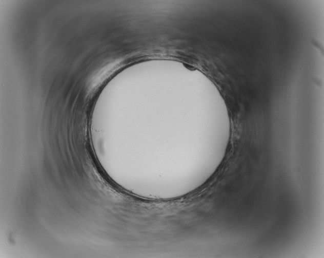 X0000100770005200807101803
