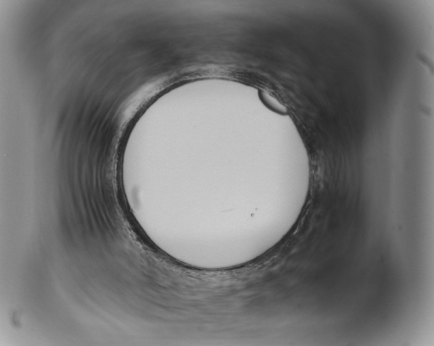 X0000100770006200807101803
