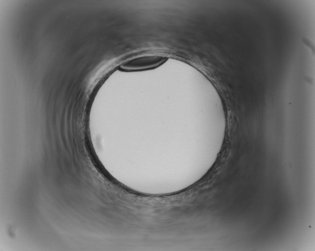 X0000100770007200807101803