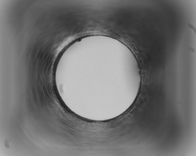 X0000100770008200807101803