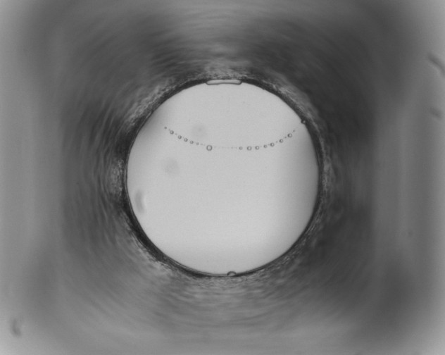 X0000100770009200807101803