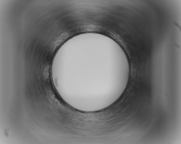 X0000100770010200807101803
