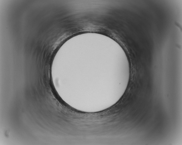 X0000100770011200807101803
