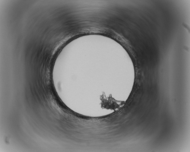 X0000100770012200807101803