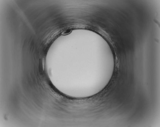 X0000100770013200807101803