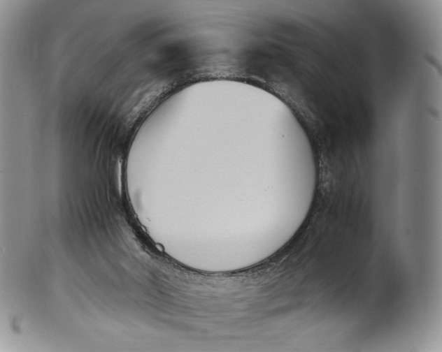 X0000100770014200807101803