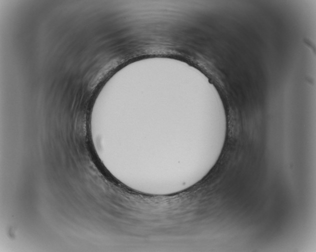 X0000100770015200807101803