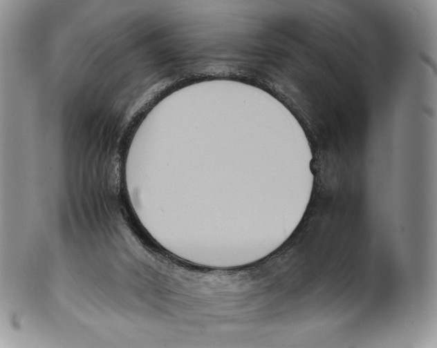 X0000100770016200807101803
