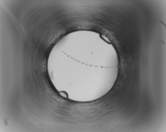 X0000100770017200807101803